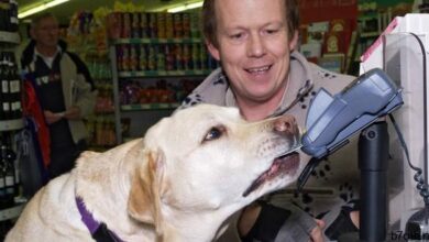 الكلب النهائي