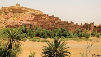 استوديو شركة أطلس