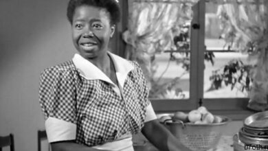 باترفلاي ماكوين