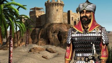 الملك صلاح الدين