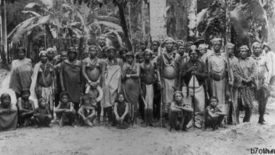 قبيلة أكل لحوم البشر في غرب الهند