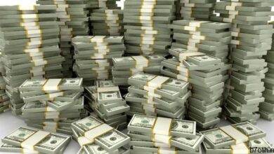 تركيز الثروة