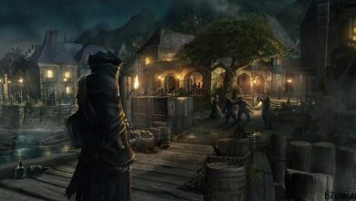 الديمقراطية القراصنة