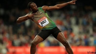 بولت الدجاجة الكتلة الحمية