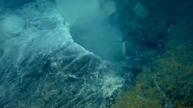 الجبال المغمورة