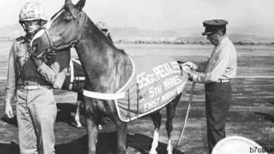 الرقيب المتهور