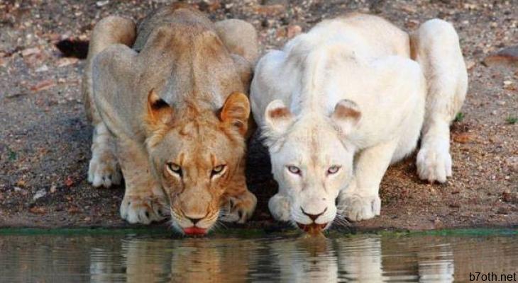 D:\New folder\FMTAh.jpg