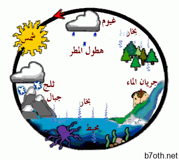 Ø¹ÙØ§ØµØ± Ø§ÙÙÙØ§Ø®: Ø§ÙØ£ÙØ·Ø§Ø±