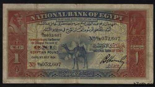 18212919240sc5