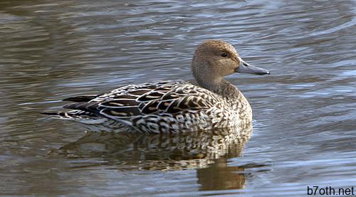 413375037_da69cf44ee