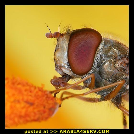 f7fhnlzgh74x5wdrnhtn