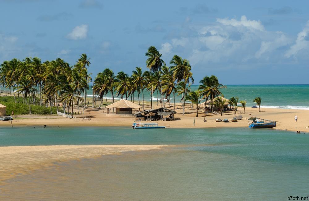 Camping at Mangrove Beach ©Cacio Murilo / Shutterstock.com