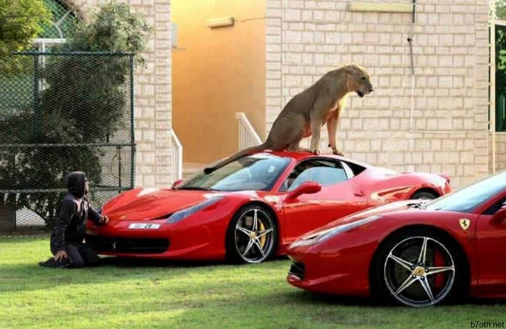 Dangerous Car Park Attendants @hobotoast / Pinterest.com