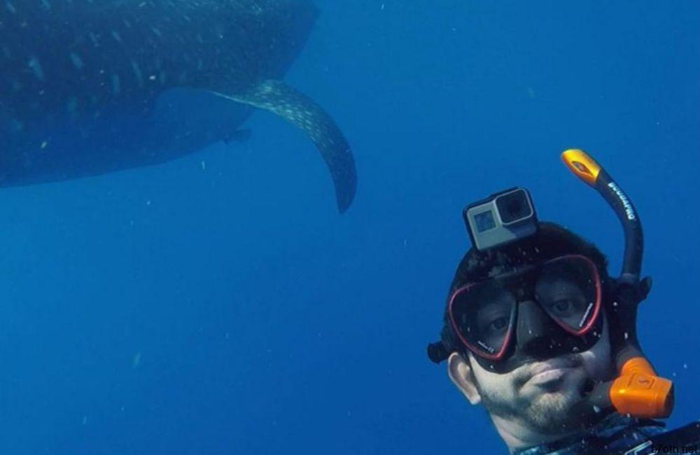 Diving With Whale Sharks @faz3/