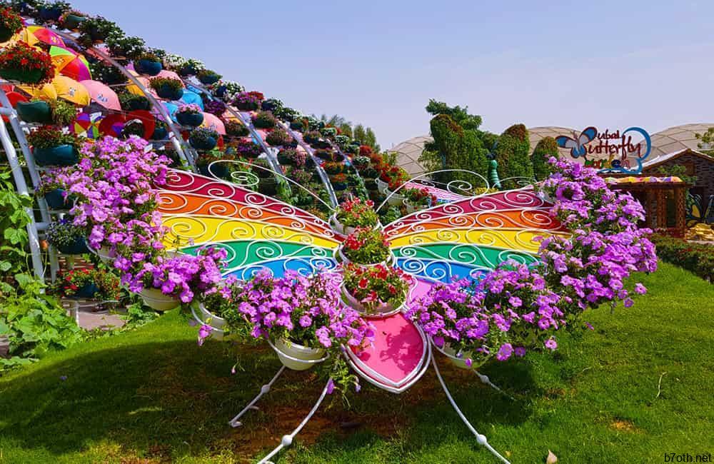 Dubai Butterfly Garden ©Craitza / Shutterstock.com