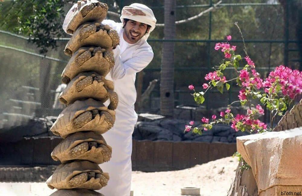 Private Turtle Collections @taylor2thompson0229 / Pinterest.com