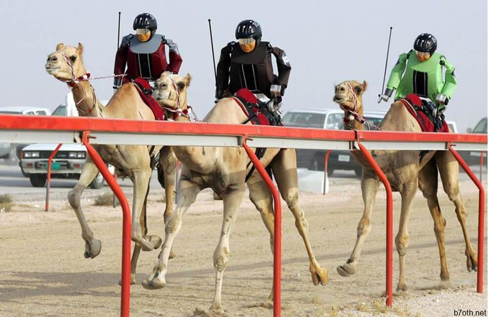 Robotic Camel Racers @flowersyadhi / Pinterest.com