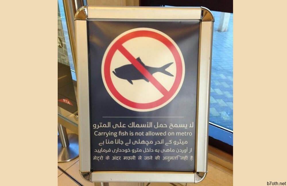 Strict No Fish Policies @russelldavies / Pinterest.com