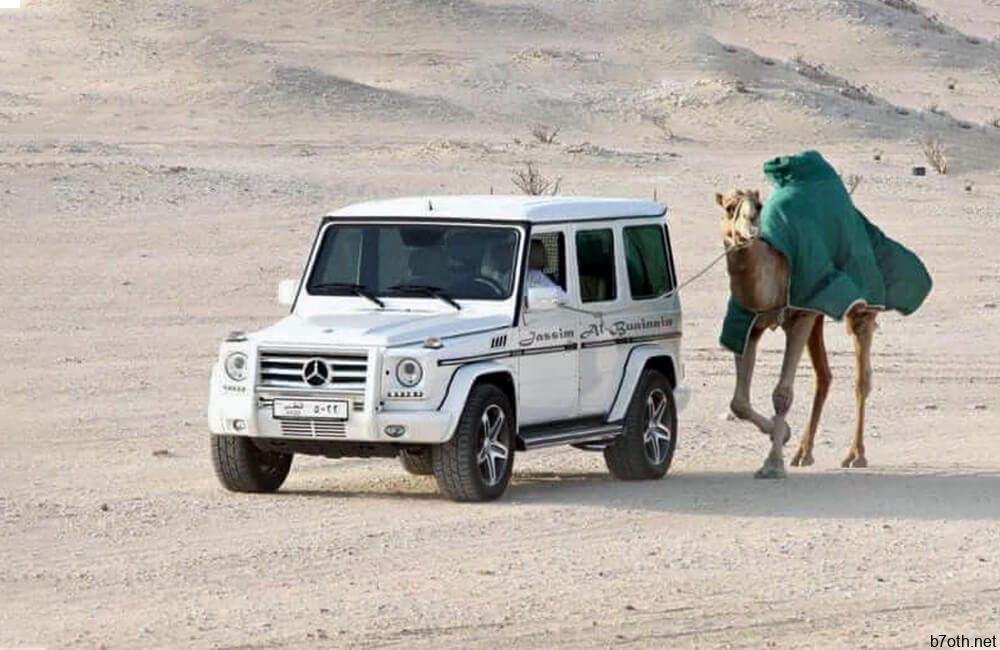 Taking Your Camel For a Walk @taylor2thompson0229 / Pinterest.com