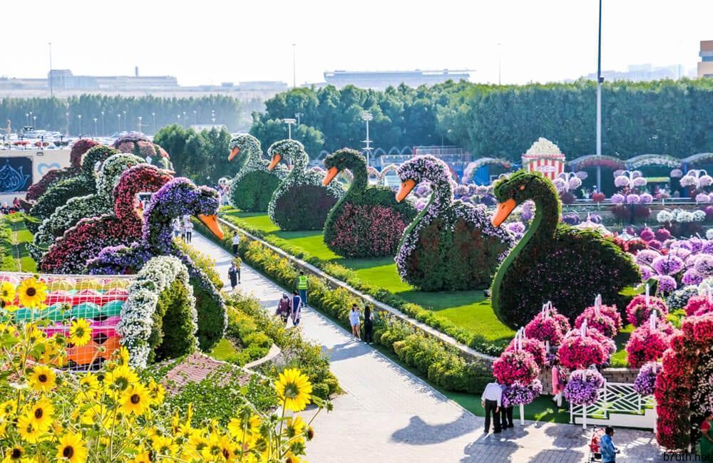 The Dubai Miracle Garden ©Abrar Sharif / Shutterstock.com