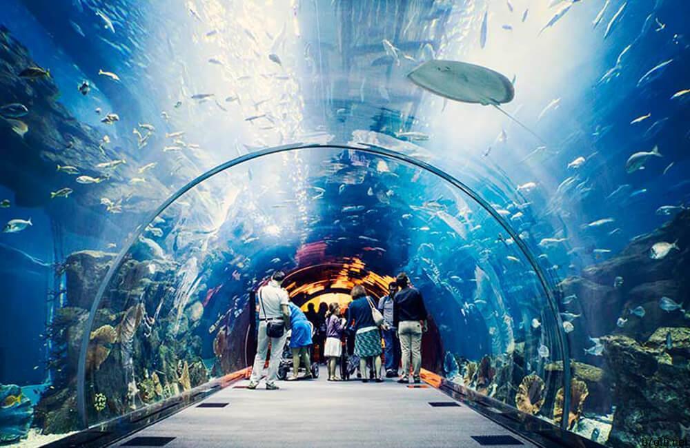World’s Largest Indoor Aquarium @deblovesteddies / Pinterest.com